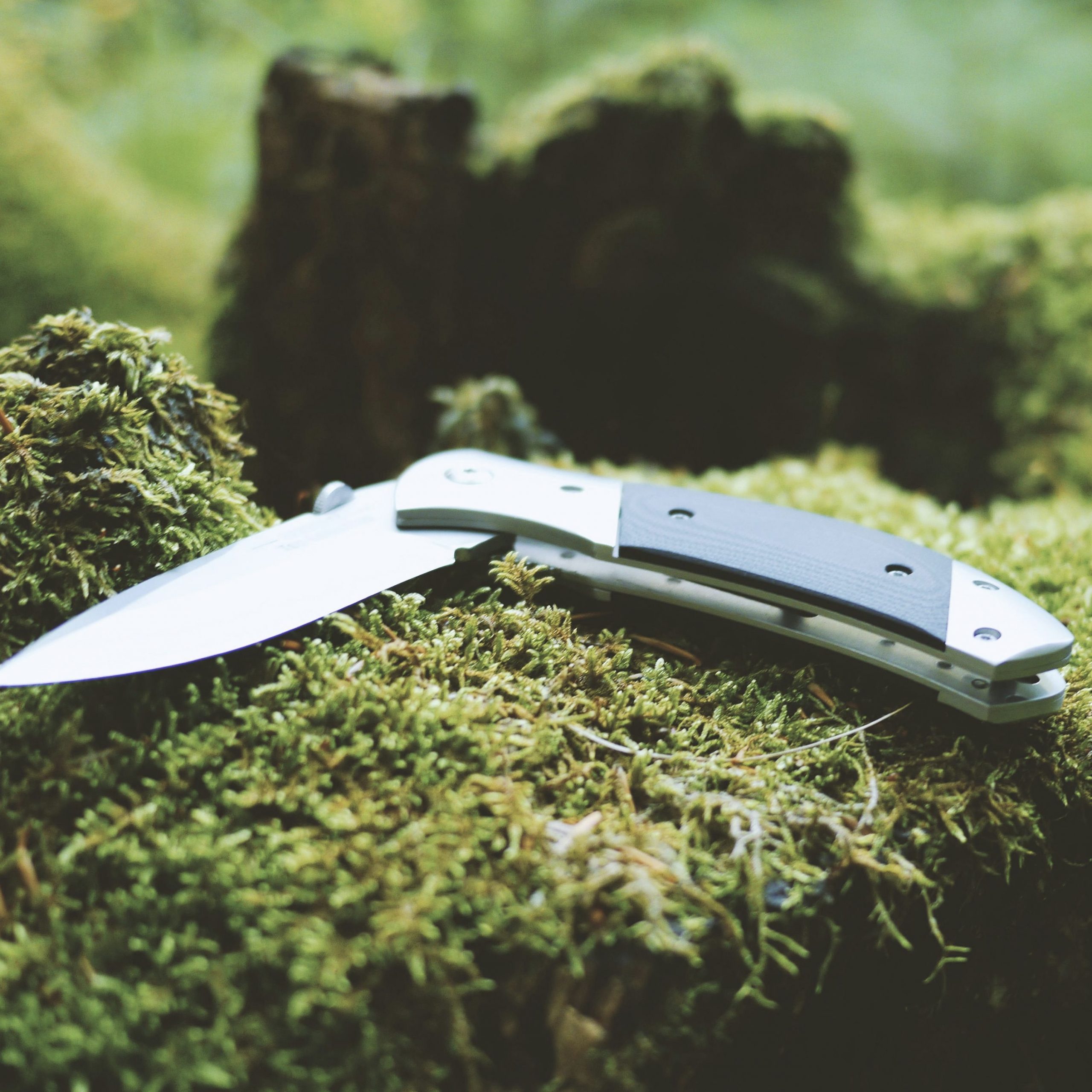 Taiga Outdoor Fold Knife – Compact Survival & Camping Pocket Knife
